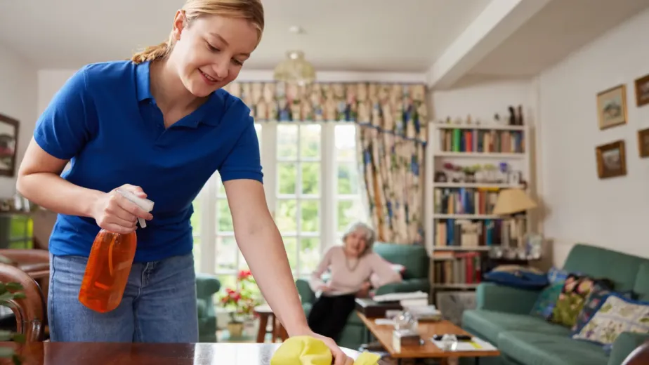 What Temporary Domestic Workers Do in Care Settings​